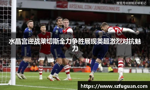 水晶宫迎战莱切斯全力争胜展现英超激烈对抗魅力